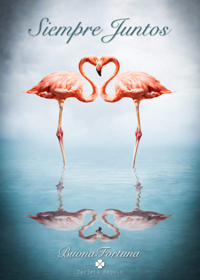 tarjeta regalo feliz aniversario buona fortuna